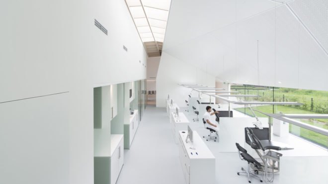 Ortho Wijchen, dental clinic, natural light, birch, wood furniture, Studio Prototype, skylights, green architecture, the Netherlands