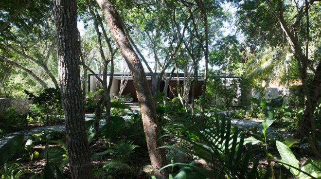 PM House, FGO Arquitectura, Yucatan, low-maintenance, Mexico, natural ventilation, green architecture, movable walls, swimming pool