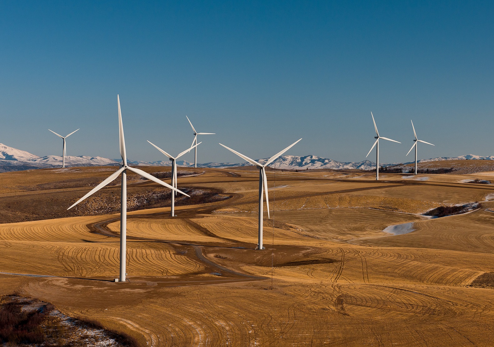 Barack Obama, Donald Trump, clean energy, renewables, climate change