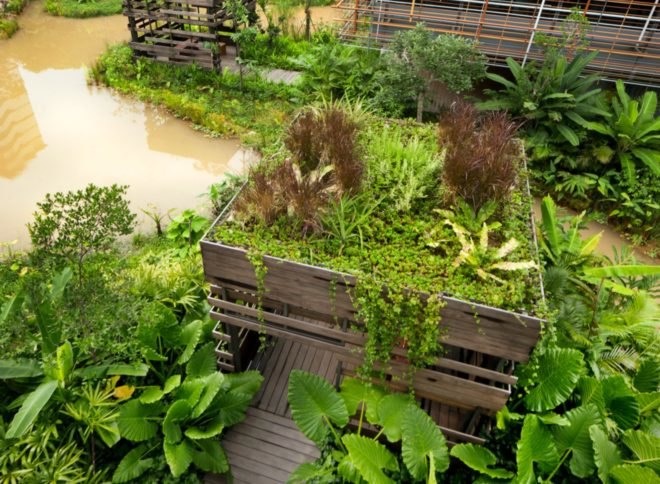 WOHA Architects, Enabling Village, Bukit Merah Vocational Institute, universal design, upcycled materials, timber building materials, singapore architecture, recycled oil drum planters, recycled building materials, green building, water gardens, landscape architecture, landscape design, all-inclusive design,