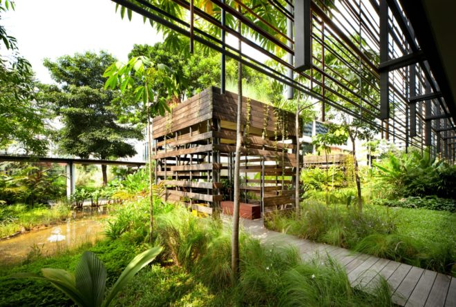 WOHA Architects, Enabling Village, Bukit Merah Vocational Institute, universal design, upcycled materials, timber building materials, singapore architecture, recycled oil drum planters, recycled building materials, green building, water gardens, landscape architecture, landscape design, all-inclusive design,