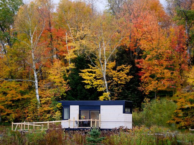 LineSync Architecture, Wheel Pad, wheelchair-friendly tiny house, accessible tiny home, tiny home design, adaptable architecture, accessible architecture, social design, green design, adaptable home design, wheelchair access, home on wheels