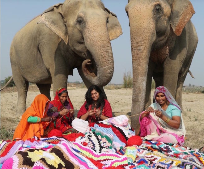 Wildlife SOS, clothing, clothing for elephants, elephant sweaters