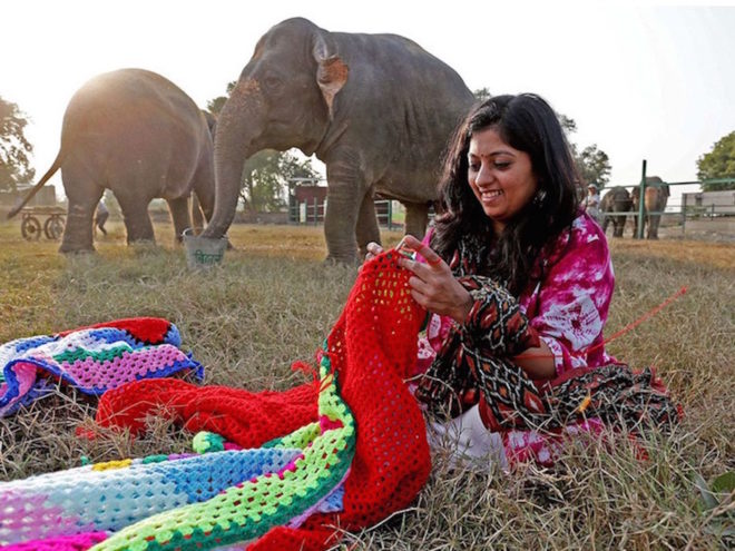 elephants, elephant sweater, WIldlife SOS, sanctuary