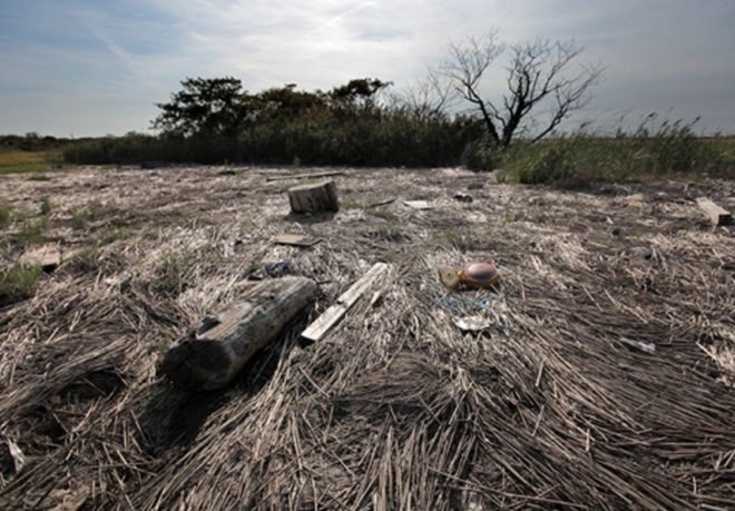Salt Marsh, ancient Bronx, ancient NYC