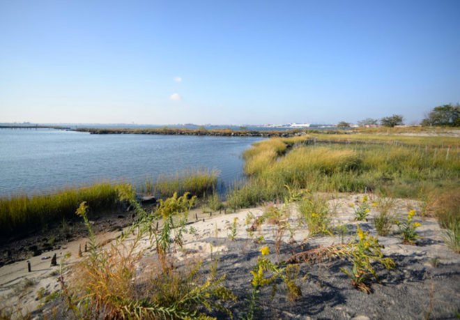 Salt Marsh, ancient Bronx, ancient NYC