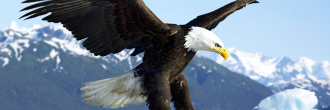 endangered species, endangered species act, privatization, privatizing endangered species, privatizing wildlife, Donald Trump, Trump administration, Trump transition team, Myron Ebell