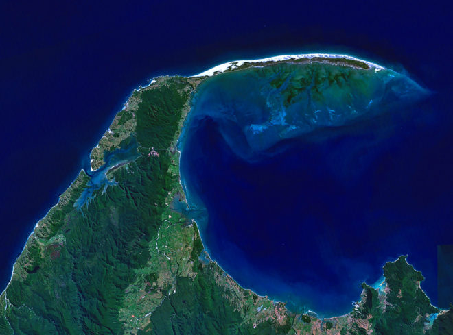Whale, whales, pilot whale, pilot whales, whale beached, beached whale, beached whales, stranded whale, stranded whales, whale stranding, mass whale stranding, mass stranding, New Zealand, Farewell Spit, Golden Bay, Department of Conservation, animals, nature
