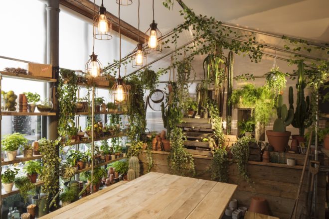 Outside In House by Pantone and Airbnb, Outside In House in London, Outside in House Airbnb, Pantone Color of the Year house, Greenery house in London, nature-filled homes, nature-filled apartments, nature-filled Airbnb, Clerkenwell Outside in House, Clerkenwell nature-filled home,