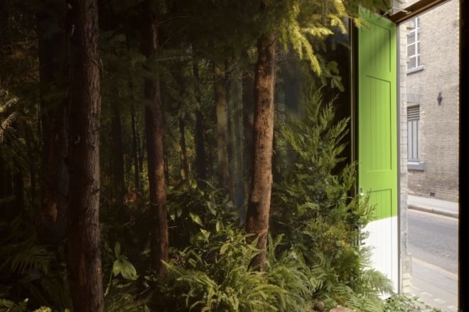 Outside In House by Pantone and Airbnb, Outside In House in London, Outside in House Airbnb, Pantone Color of the Year house, Greenery house in London, nature-filled homes, nature-filled apartments, nature-filled Airbnb, Clerkenwell Outside in House, Clerkenwell nature-filled home,