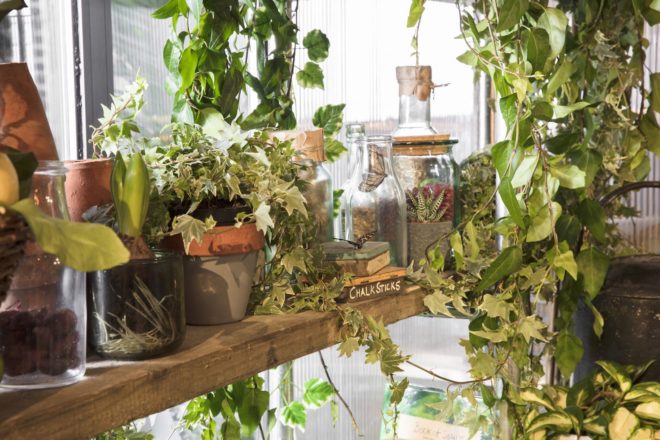Outside In House by Pantone and Airbnb, Outside In House in London, Outside in House Airbnb, Pantone Color of the Year house, Greenery house in London, nature-filled homes, nature-filled apartments, nature-filled Airbnb, Clerkenwell Outside in House, Clerkenwell nature-filled home,