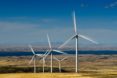 Trump, wind, clean energy, renewables