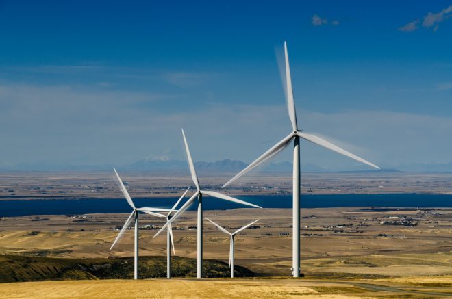 Trump, wind, clean energy, renewables