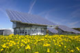 Trump, solar, clean energy, renewables