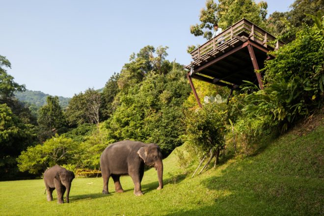 Hill Lodge, Sook Architects, off grid retreat, off grid retreat thailand, lodges in thailand, timber lodges, forest cabins, wooden bungalos, timber structures, animal retreats, safari retreats, timber bungalows, thailand bungalow, thailand resorts, locally sourced materials