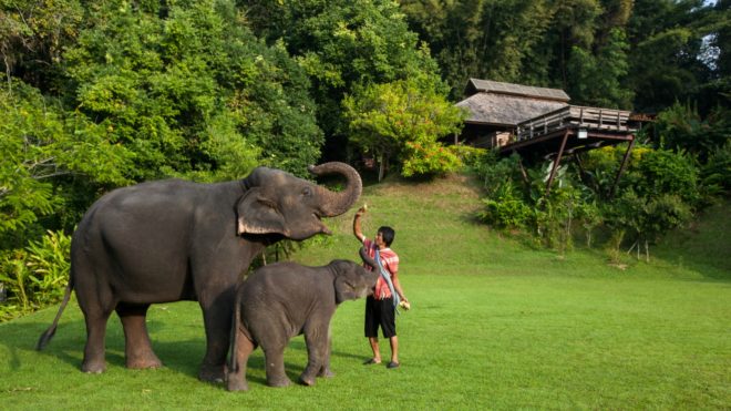 Hill Lodge, Sook Architects, off grid retreat, off grid retreat thailand, lodges in thailand, timber lodges, forest cabins, wooden bungalos, timber structures, animal retreats, safari retreats, timber bungalows, thailand bungalow, thailand resorts, locally sourced materials