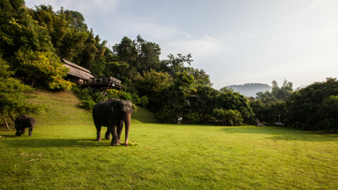 Hill Lodge, Sook Architects, off grid retreat, off grid retreat thailand, lodges in thailand, timber lodges, forest cabins, wooden bungalos, timber structures, animal retreats, safari retreats, timber bungalows, thailand bungalow, thailand resorts, locally sourced materials