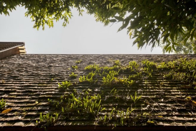 Hill Lodge, Sook Architects, off grid retreat, off grid retreat thailand, lodges in thailand, timber lodges, forest cabins, wooden bungalos, timber structures, animal retreats, safari retreats, timber bungalows, thailand bungalow, thailand resorts, locally sourced materials