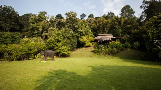 Hill Lodge, Sook Architects, off grid retreat, off grid retreat thailand, lodges in thailand, timber lodges, forest cabins, wooden bungalos, timber structures, animal retreats, safari retreats, timber bungalows, thailand bungalow, thailand resorts, locally sourced materials
