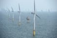 Trump, wind, offshore wind, clean energy, renewables