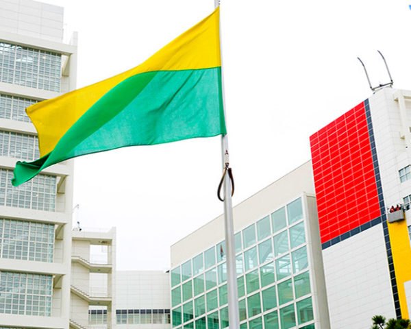 Richard Meier, Modrian to Dutch event, colored buildings, Piet Mondrian works, De Stijl, pier modrian, hague in color, architecture and art, art works in holland, art collection hague, art initiatives holland, public art, art events, colorful architecture, The World's Largest Mondrian