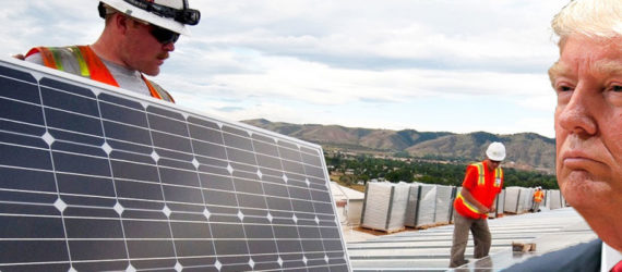 Trump, solar, clean energy, renewables