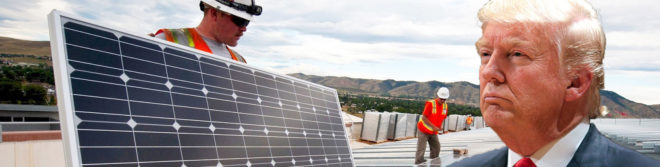 Trump, solar, clean energy, renewables