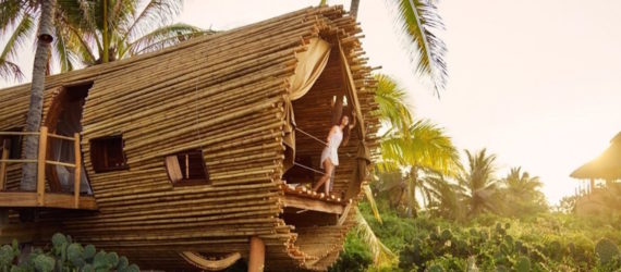 treehouses, treehouses for rent, vrbo, treehouse design, green design, architecture, solar-powered treehouse, treehouse vacation