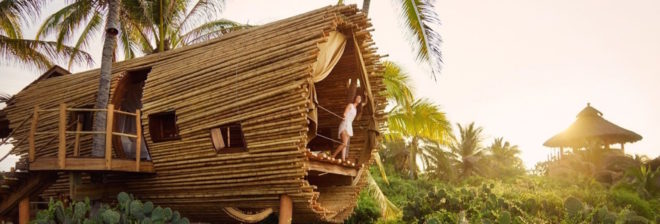 treehouses, treehouses for rent, vrbo, treehouse design, green design, architecture, solar-powered treehouse, treehouse vacation