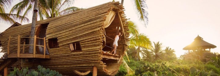 treehouses, treehouses for rent, vrbo, treehouse design, green design, architecture, solar-powered treehouse, treehouse vacation