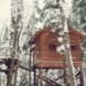 treehouses, treehouses for rent, vrbo, treehouse design, green design, architecture, solar-powered treehouse, treehouse vacation