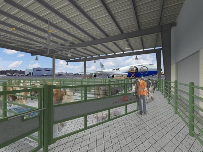 The Ark at JFK, JFK, John F. Kennedy International Airport, New York City, NYC, pets, air travel, travel, airports