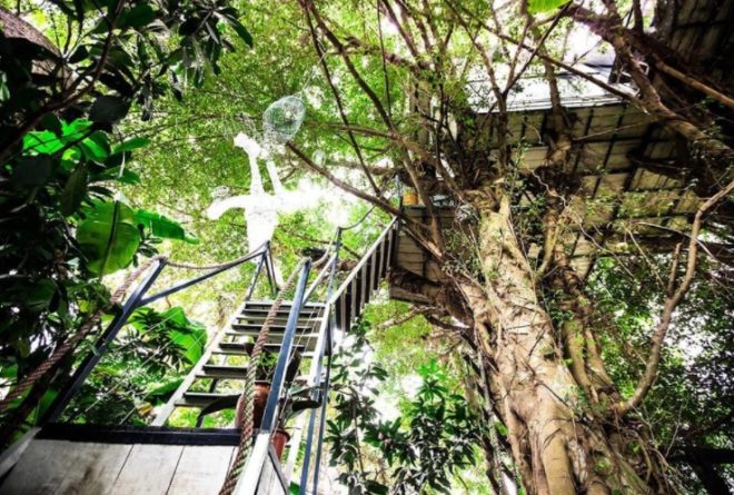 luxury treehouse, treehouse, Vietnamese treehouse, green design