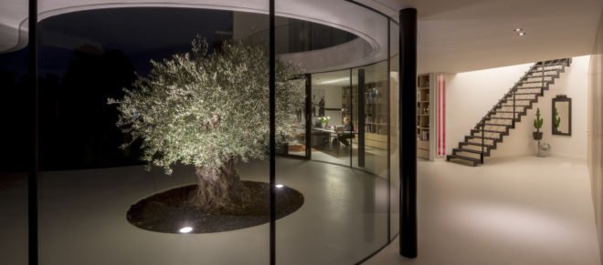 Casa Kwantes by MVRDV, Casa Kwantes in Rotterdam, solar-powered Casa Kwantes, home with olive tree, contemporary homes in Rotterdam, self sufficient house Rotterdam