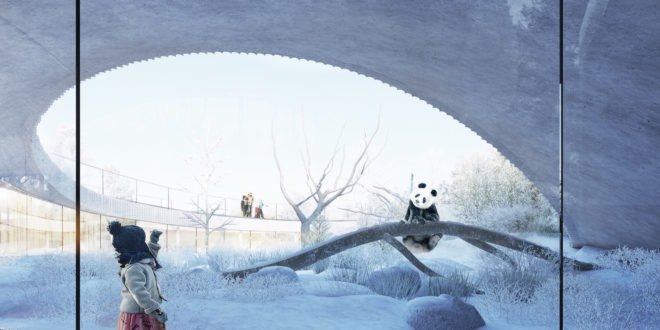 Copenhagen Zoo pandas, Panda House by BIG, Copenhagen Zoo Panda House by BIG, BIG-designed zoo architecture, panda habitat in zoos, circular panda house, yin yang inspired architecture, Copenhagen Zoo architecture