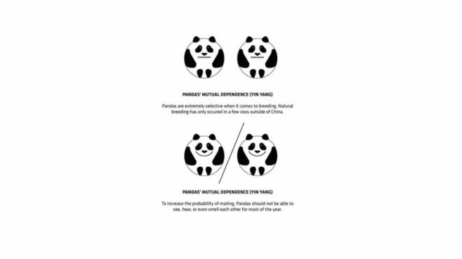 Copenhagen Zoo pandas, Panda House by BIG, Copenhagen Zoo Panda House by BIG, BIG-designed zoo architecture, panda habitat in zoos, circular panda house, yin yang inspired architecture, Copenhagen Zoo architecture
