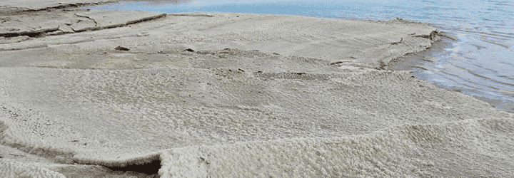 Dead Sea, Columbia University, Israel, Palestine, Jordan, salt, Dead Sea salt, drought, droughts, climate change, global warming, environment, dry