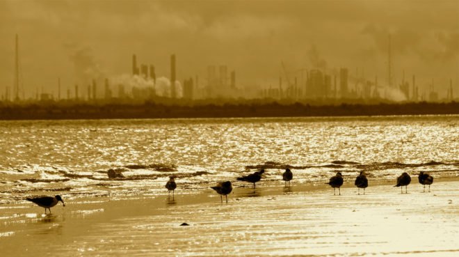 ExxonMobil, Peter Trelenberg, Exxon, Rex Tillerson, Donald Trump, Trump, President Donald Trump, President Trump, White House, Trump administration, Paris agreement, Paris climate agreement, Paris climate change agreement, climate change, carbon emissions, carbon dioxide emissions, emissions, fossil fuel, fossil fuels, oil, gas, natural gas, oil and gas