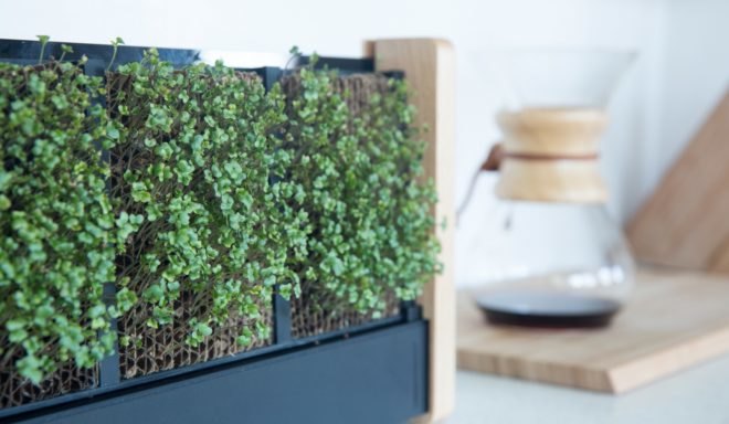 EcoQube Frame, indoor vertical garden, indoor gardening, micro-veggies, microgreens, Aqua Design Innovations (ADI), low-maintenance design, green design, green food