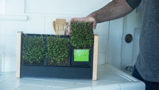 EcoQube Frame, indoor vertical garden, indoor gardening, micro-veggies, microgreens, Aqua Design Innovations (ADI), low-maintenance design, green design, green food