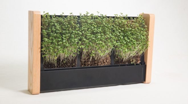 EcoQube Frame, indoor vertical garden, indoor gardening, micro-veggies, microgreens, Aqua Design Innovations (ADI), low-maintenance design, green design, green food