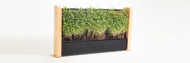 EcoQube Frame, indoor vertical garden, indoor gardening, micro-veggies, microgreens, Aqua Design Innovations (ADI), low-maintenance design, green design, green food