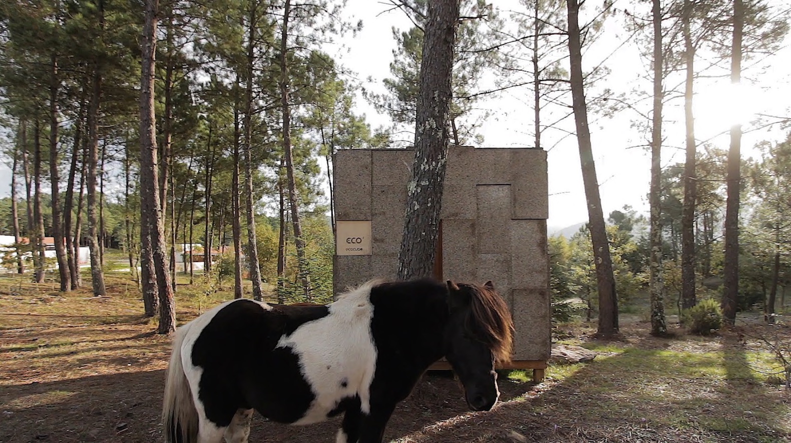 Ecocubo, Ecocubo house, prefabricated cork house, cork architecture, Ecocubo by António Fernandes, cork Ecocubo house, Ecocubo pop up home,