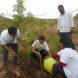 Felix Finkbeiner, Plant for the Planet, United Nations, United Nations Billion Tree Campaign, Billion Tree Campaign, tree, trees, plant trees, planting trees, one million trees, one billion trees, one trillion trees, carbon dioxide, CO2, climate change, global warming, environment, nature, kid, kids, teen, teens, teenager, teenager, activist, activists, activism