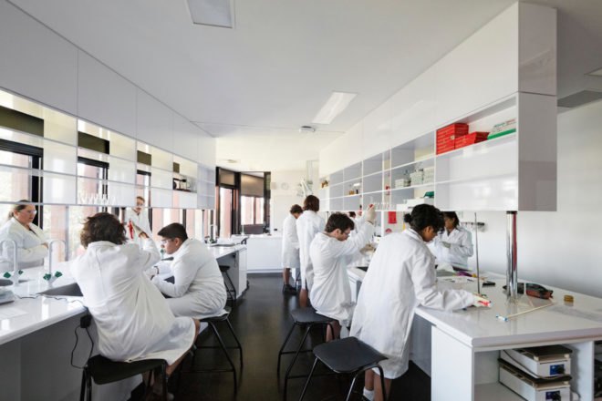 Ivanhoe Grammar Senior Years & Science Center by McBride Charles Ryan, school design by McBride Charles Ryan, colorful school architecture, WAN Color in Architecture Award winner, Ivanhoe Grammar School architecture,