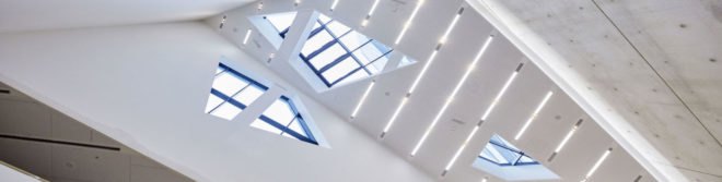 Leuphana Central Building, Studio Libeskind, green-roofed university building in Germany, zinc-clad university building, zero-emission university building in Germany