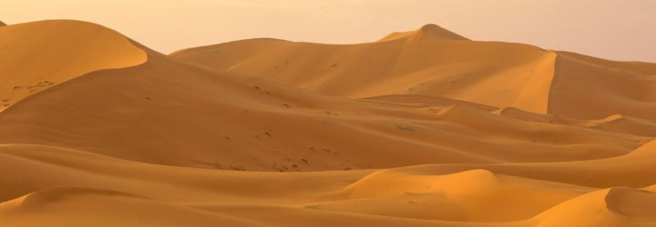 David Wright, Seoul National University, Sahara Desert, Sahara, desert, desertification, humans, ancient humans, human activity, climate change, global warming, environment, archaeology