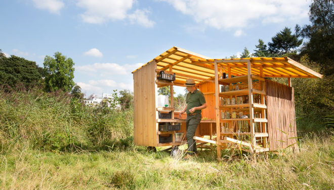 The Weedgrocer, Overtreders W, mobile structure, fieldwork station, weeds, the Netherlands, urban vegetation, green design, transforming furniture, douglas fir, cabinets, field kitchen
