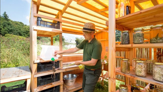 The Weedgrocer, Overtreders W, mobile structure, fieldwork station, weeds, the Netherlands, urban vegetation, green design, transforming furniture, douglas fir, cabinets, field kitchen