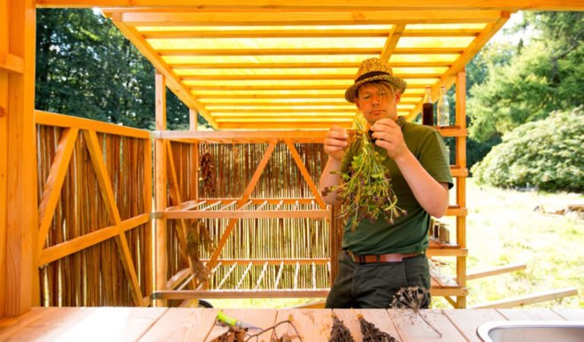 The Weedgrocer, Overtreders W, mobile structure, fieldwork station, weeds, the Netherlands, urban vegetation, green design, transforming furniture, douglas fir, cabinets, field kitchen